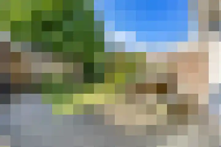 Rembrandtlaan 19 Arnhem thumbnail 40