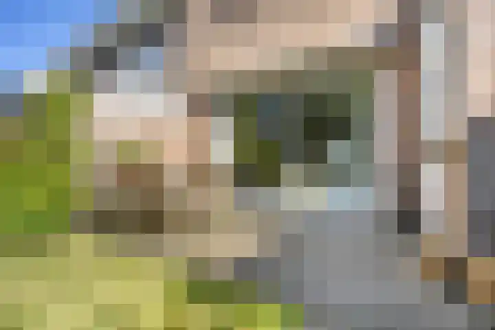 Rembrandtlaan 19 Arnhem thumbnail 42