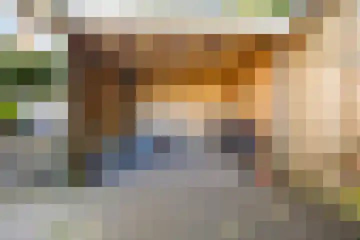 Rembrandtlaan 19 Arnhem thumbnail 44