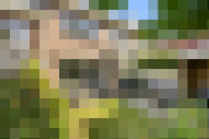 Rembrandtlaan 19 Arnhem thumbnail 46