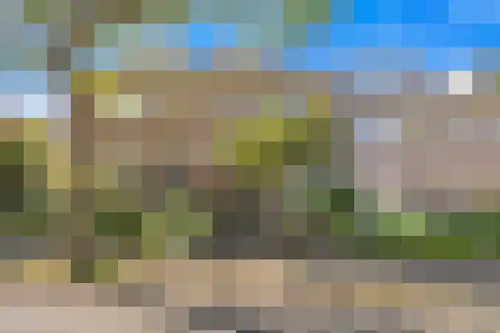 Rembrandtlaan 19 Arnhem thumbnail 47