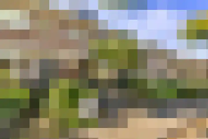 Rembrandtlaan 19 Arnhem thumbnail 48