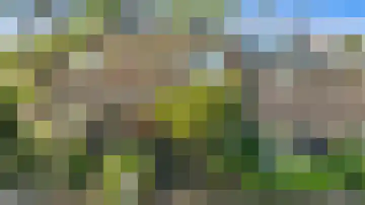 Rembrandtlaan 19 Arnhem thumbnail 49
