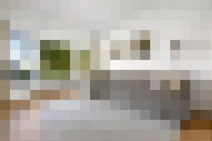 Rembrandtlaan 19 Arnhem thumbnail 5