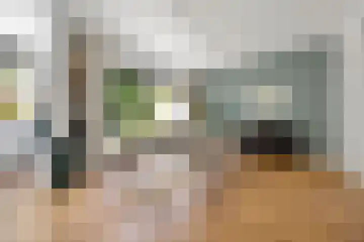 Rembrandtlaan 19 Arnhem thumbnail 6