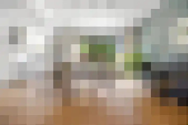 Rembrandtlaan 19 Arnhem thumbnail 7