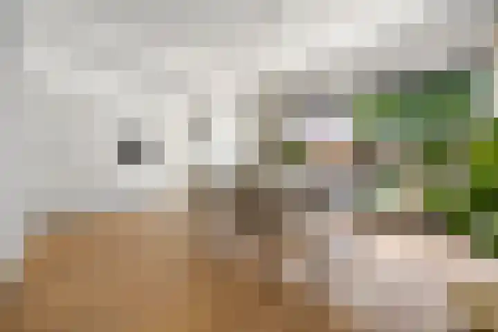 Rembrandtlaan 19 Arnhem thumbnail 9