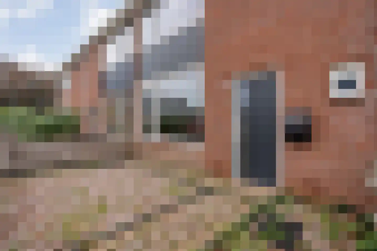Rembrandtlaan 19 Meppel thumbnail 9