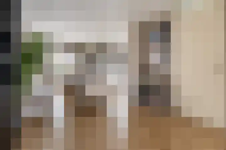 Rembrandtlaan 19 Veendam thumbnail 10