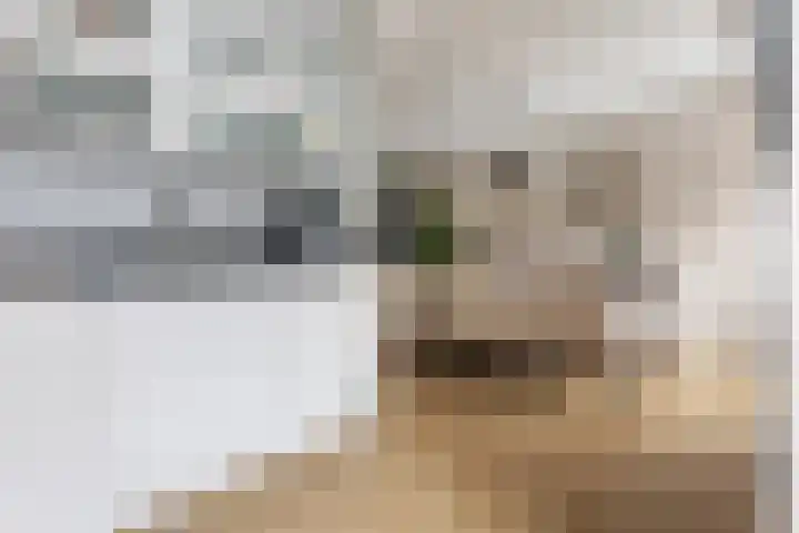 Rembrandtlaan 19 Veendam thumbnail 13