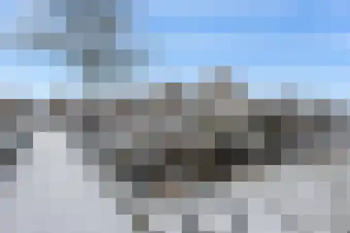 Rembrandtlaan 19 Veendam thumbnail 33