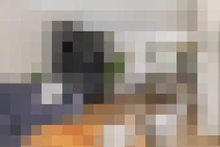 Rembrandtlaan 19 Veendam thumbnail 9