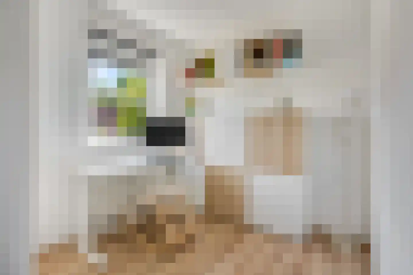 Rembrandtlaan 199 Ede thumbnail 26