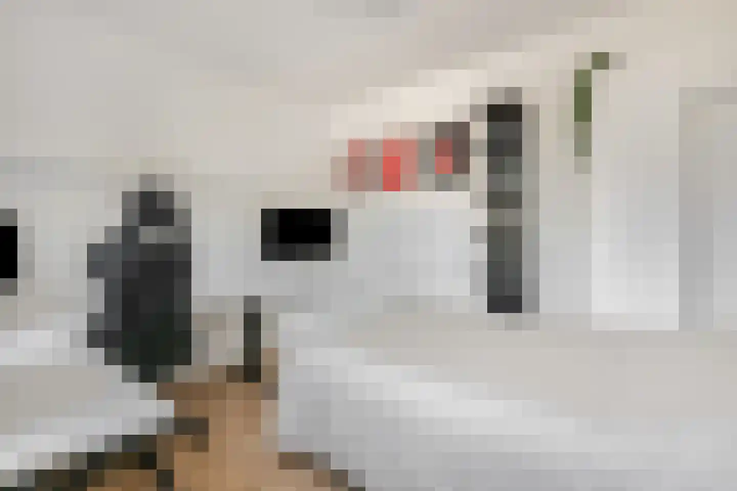 Rembrandtlaan 199 Ede thumbnail 29