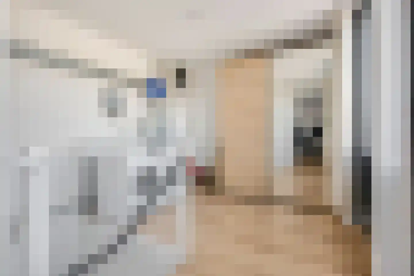 Rembrandtlaan 199 Ede thumbnail 30