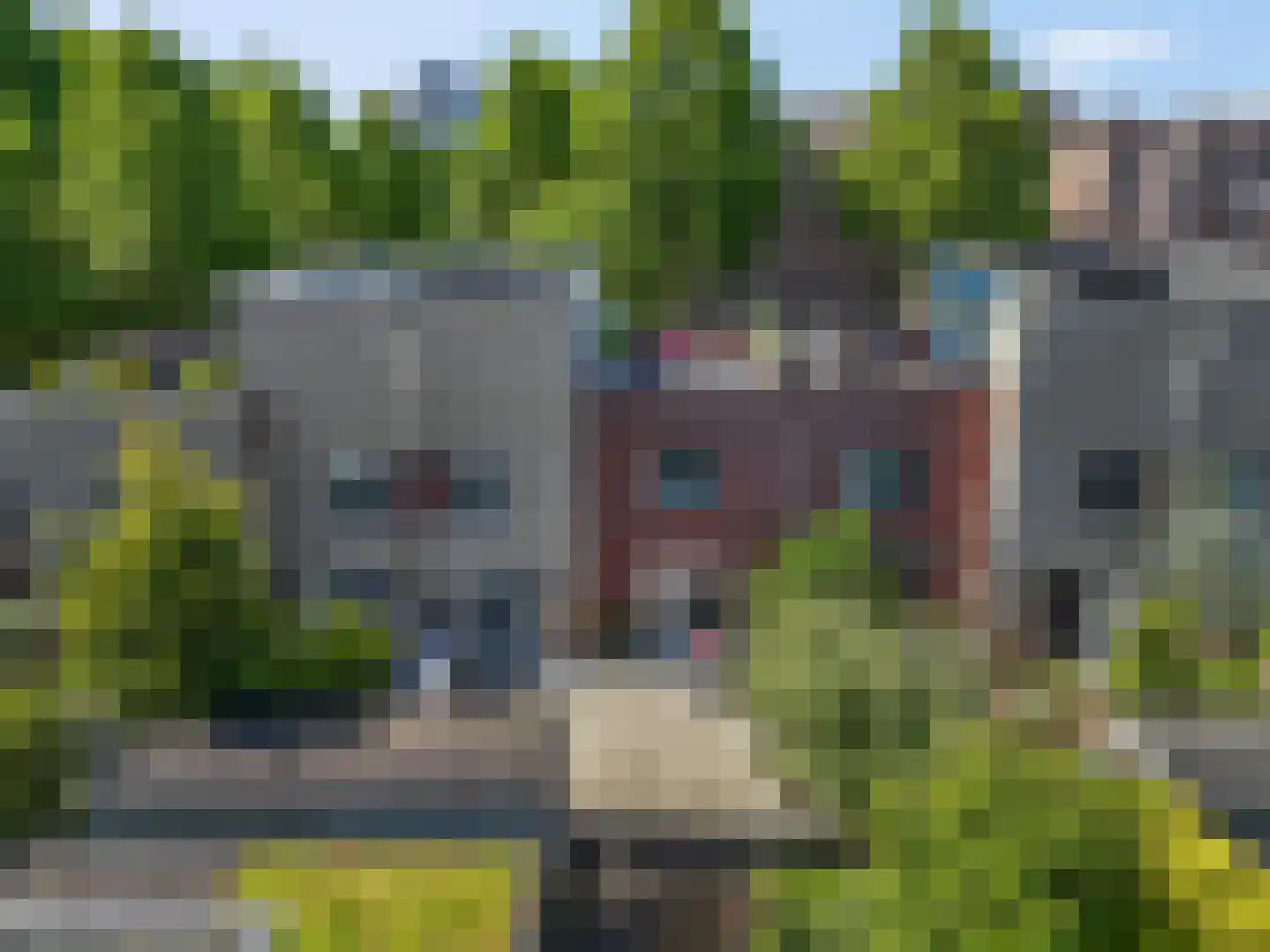 Rembrandtlaan 199 Ede thumbnail 46