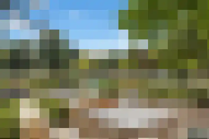 Rembrandtlaan 2 01 Huis ter Heide thumbnail 28