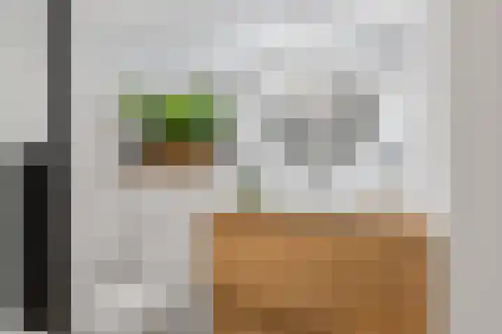 Rembrandtlaan 2 01 Huis ter Heide thumbnail 41