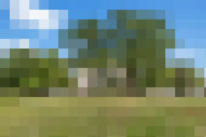 Rembrandtlaan 2 01 Huis ter Heide thumbnail 53