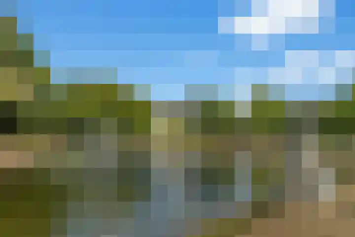 Rembrandtlaan 2 01 Huis ter Heide thumbnail 58