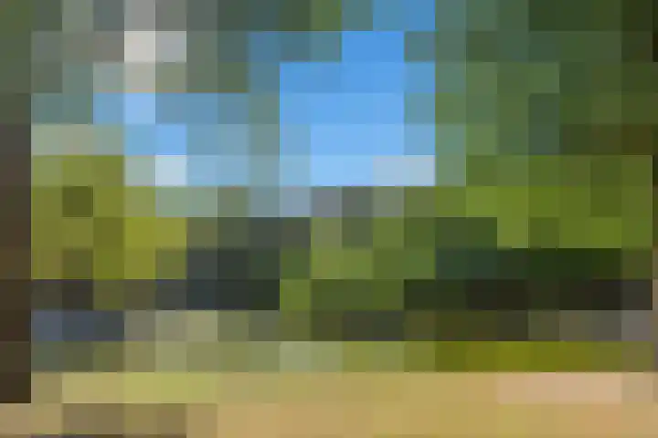 Rembrandtlaan 2 01 Huis ter Heide thumbnail 62