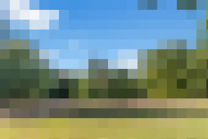 Rembrandtlaan 2 01 Huis ter Heide thumbnail 64