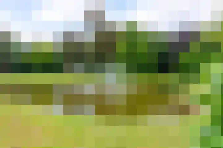 Rembrandtlaan 2 04 Huis ter Heide thumbnail 30