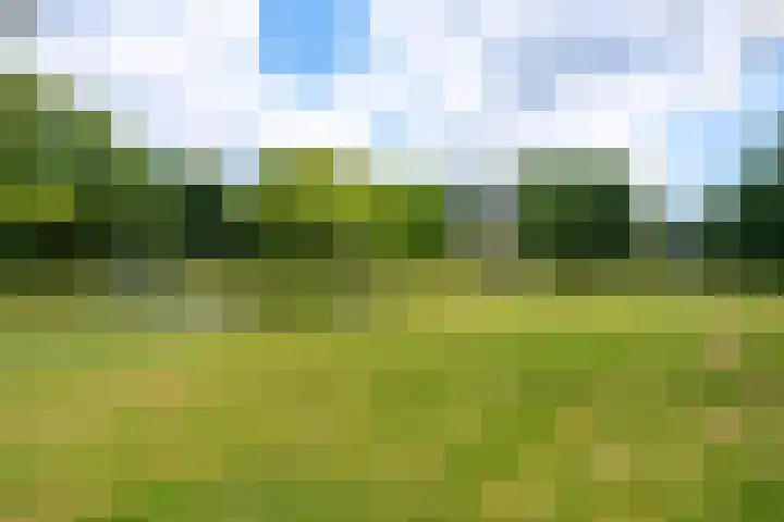 Rembrandtlaan 2 04 Huis ter Heide thumbnail 32