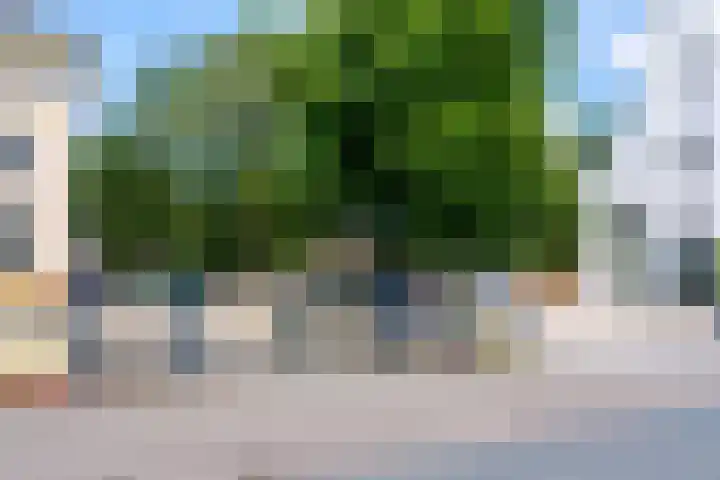 Rembrandtlaan 2 04 Huis ter Heide thumbnail 33