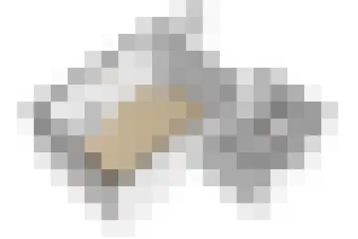 Rembrandtlaan 2 04 Huis ter Heide thumbnail 37