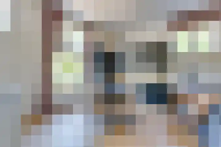 Rembrandtlaan 2 04 Huis ter Heide thumbnail 6