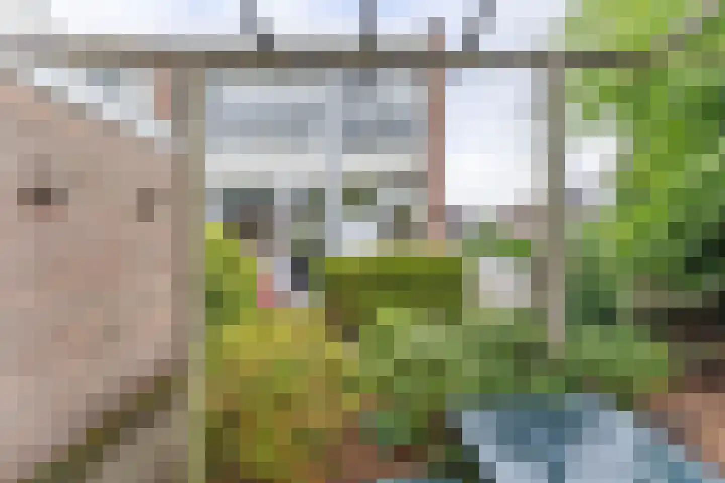Rembrandtlaan 2 Hazerswoude-Dorp thumbnail 11