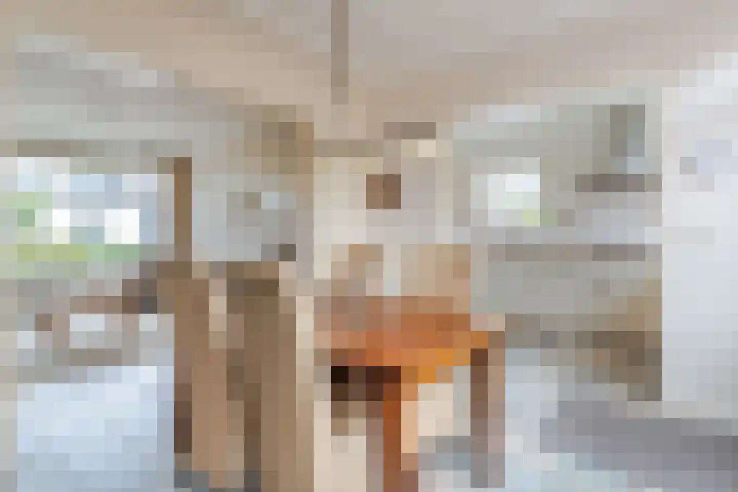 Rembrandtlaan 2 Hazerswoude-Dorp thumbnail 7