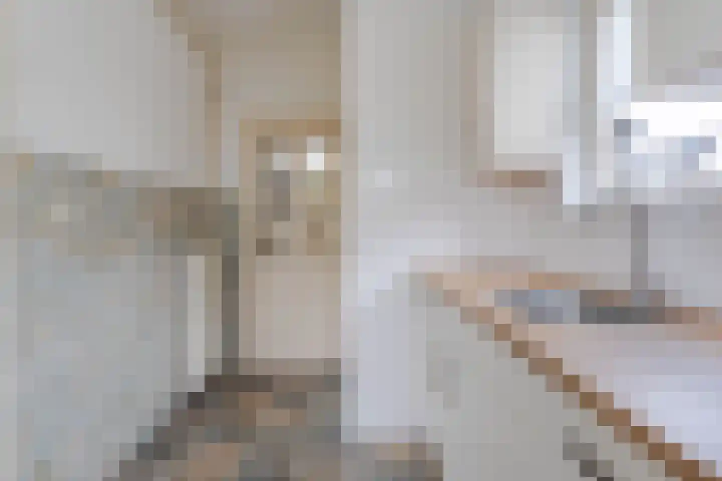 Rembrandtlaan 2 Hazerswoude-Dorp thumbnail 9