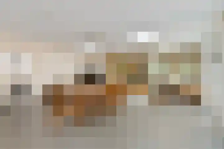 Rembrandtlaan 2 Hoorn thumbnail 14