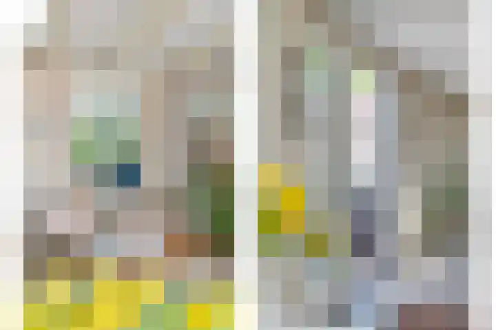 Rembrandtlaan 2 Hoorn thumbnail 15