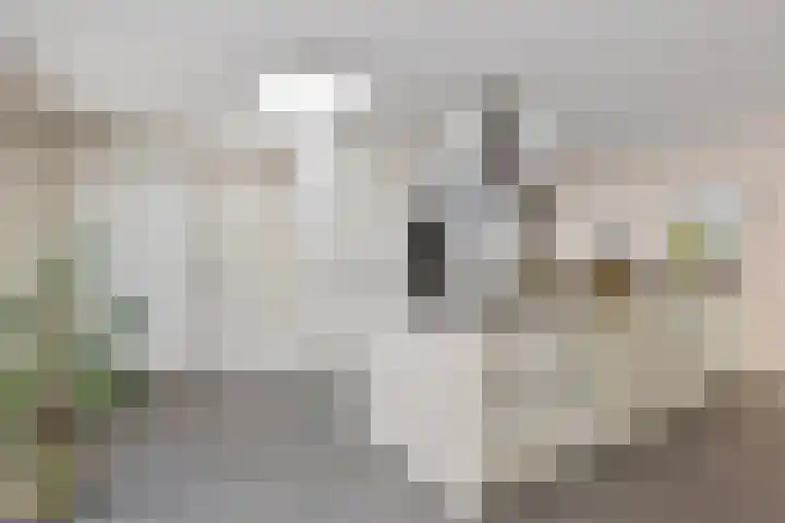 Rembrandtlaan 2 Hoorn thumbnail 16