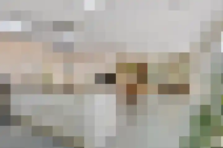 Rembrandtlaan 2 Hoorn thumbnail 18