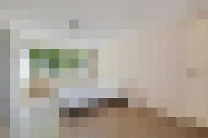 Rembrandtlaan 2 Hoorn thumbnail 23