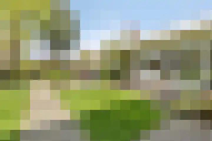 Rembrandtlaan 2 Hoorn thumbnail 31