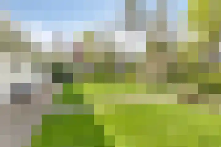 Rembrandtlaan 2 Hoorn thumbnail 32