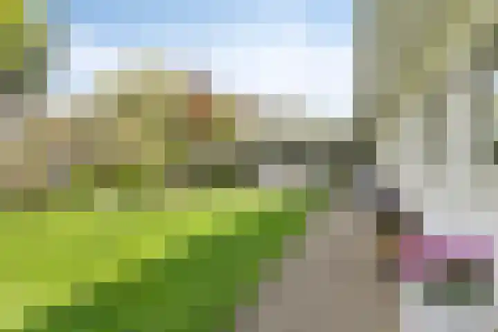 Rembrandtlaan 2 Hoorn thumbnail 33
