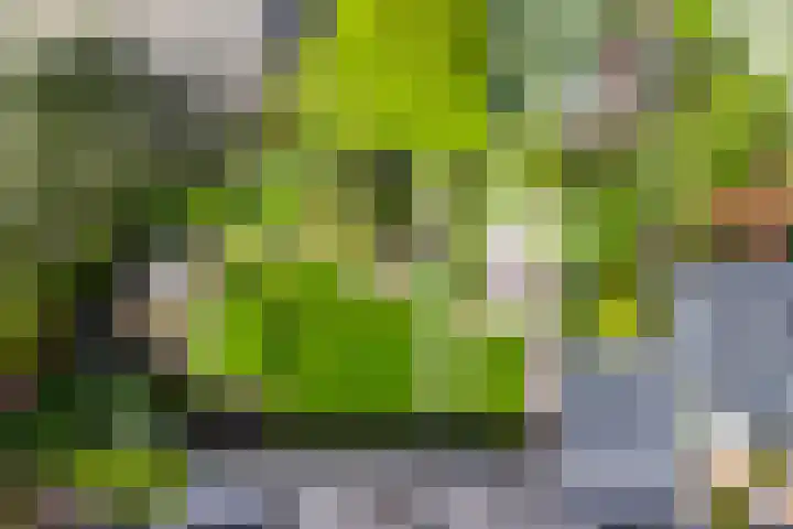 Rembrandtlaan 2 Hoorn thumbnail 38