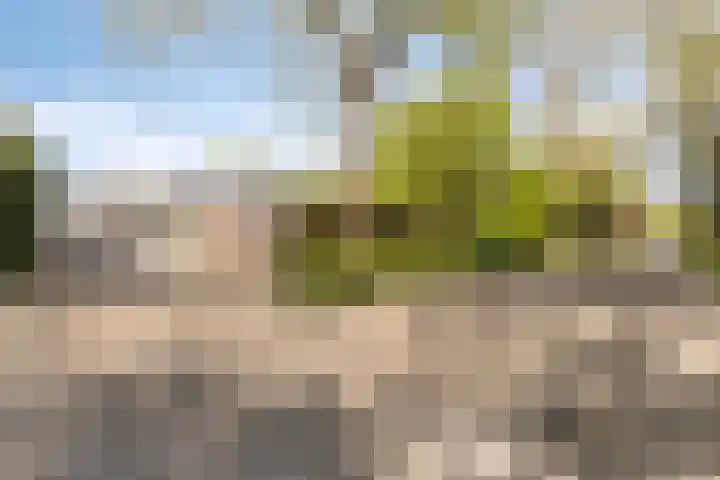 Rembrandtlaan 2 Hoorn thumbnail 39