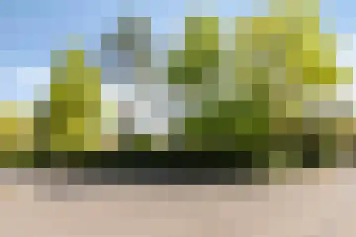 Rembrandtlaan 2 Hoorn thumbnail 4