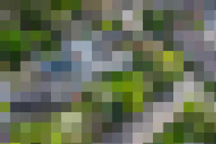Rembrandtlaan 2 Hoorn thumbnail 40
