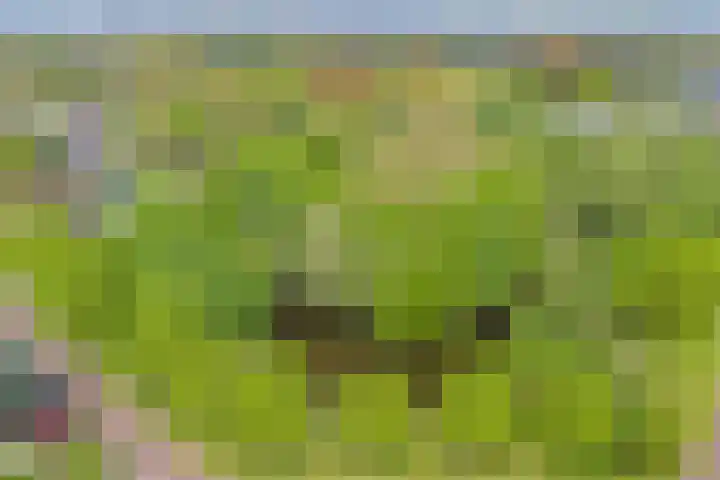 Rembrandtlaan 2 Hoorn thumbnail 42