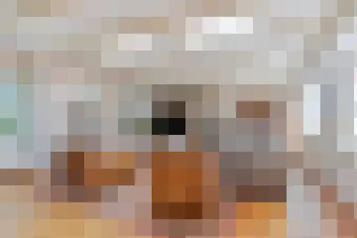 Rembrandtlaan 2 Hoorn thumbnail 8