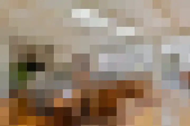 Rembrandtlaan 2 Hoorn thumbnail 9