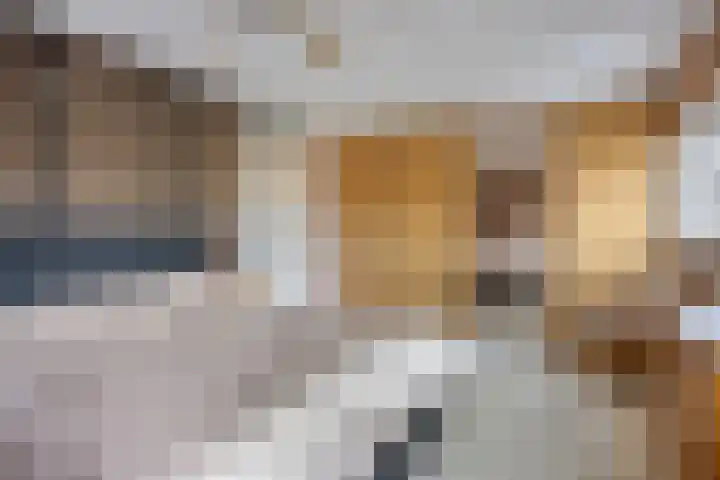 Rembrandtlaan 20 Nijkerk thumbnail 18
